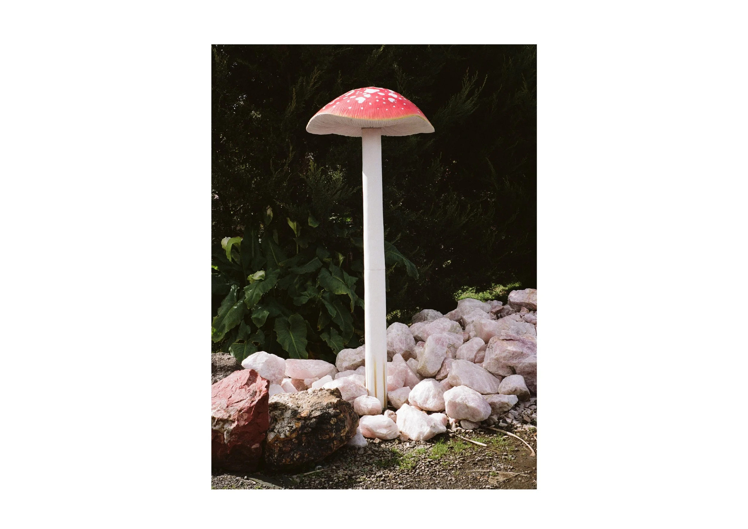 Gippsland_May-August__2022_Part_1 25.jpg