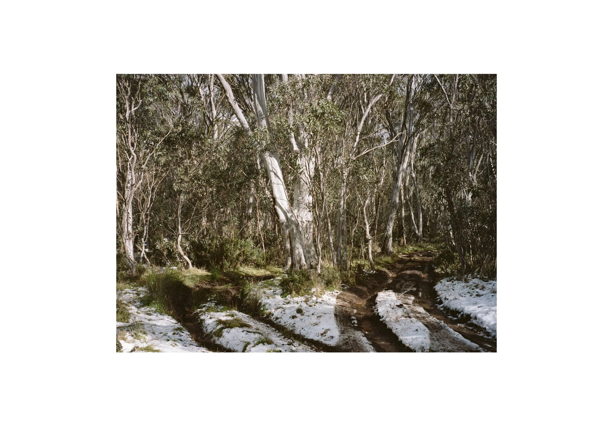 Gippsland_May-August__2022_Part_1 29.jpg