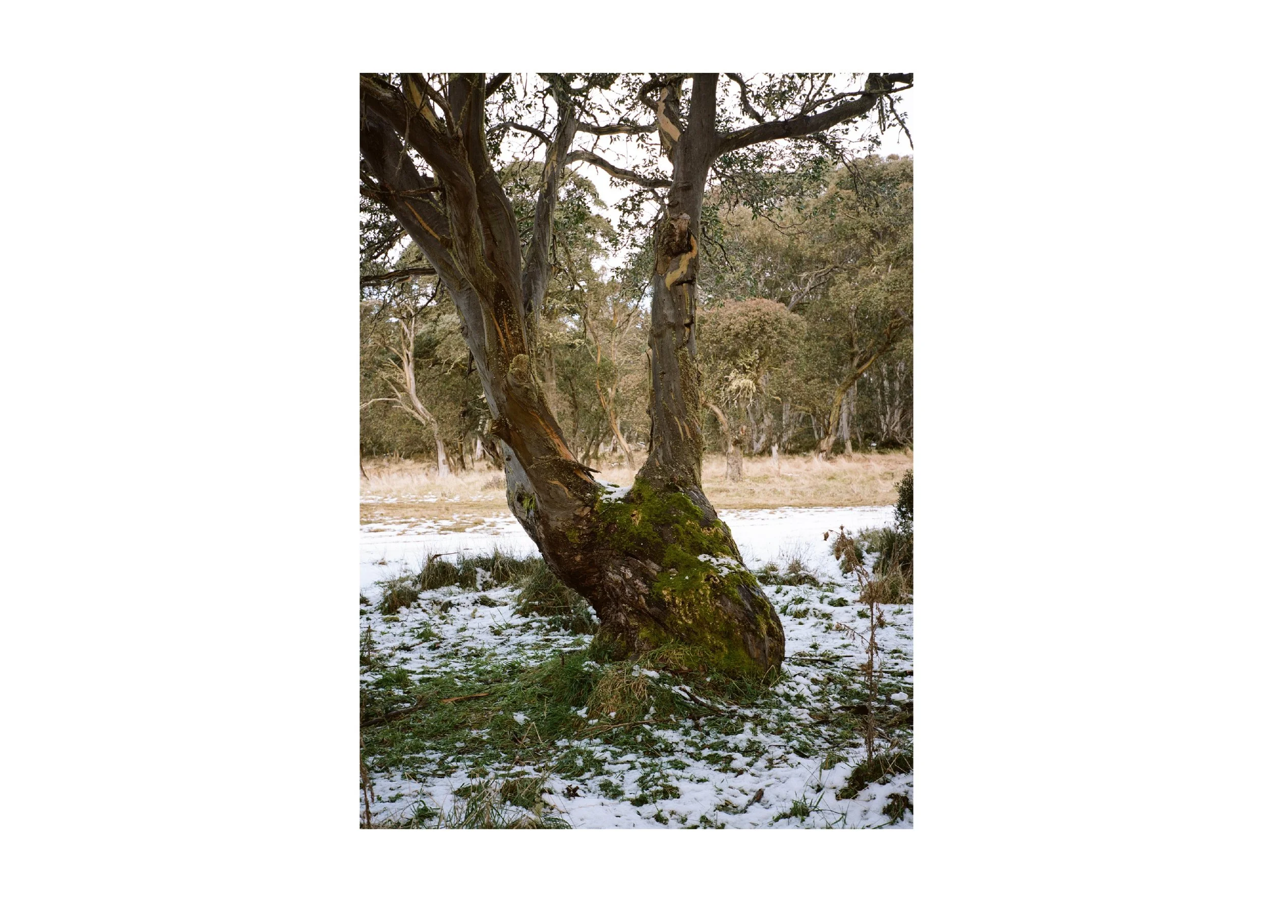 Gippsland_May-August__2022_Part_1 30.jpg