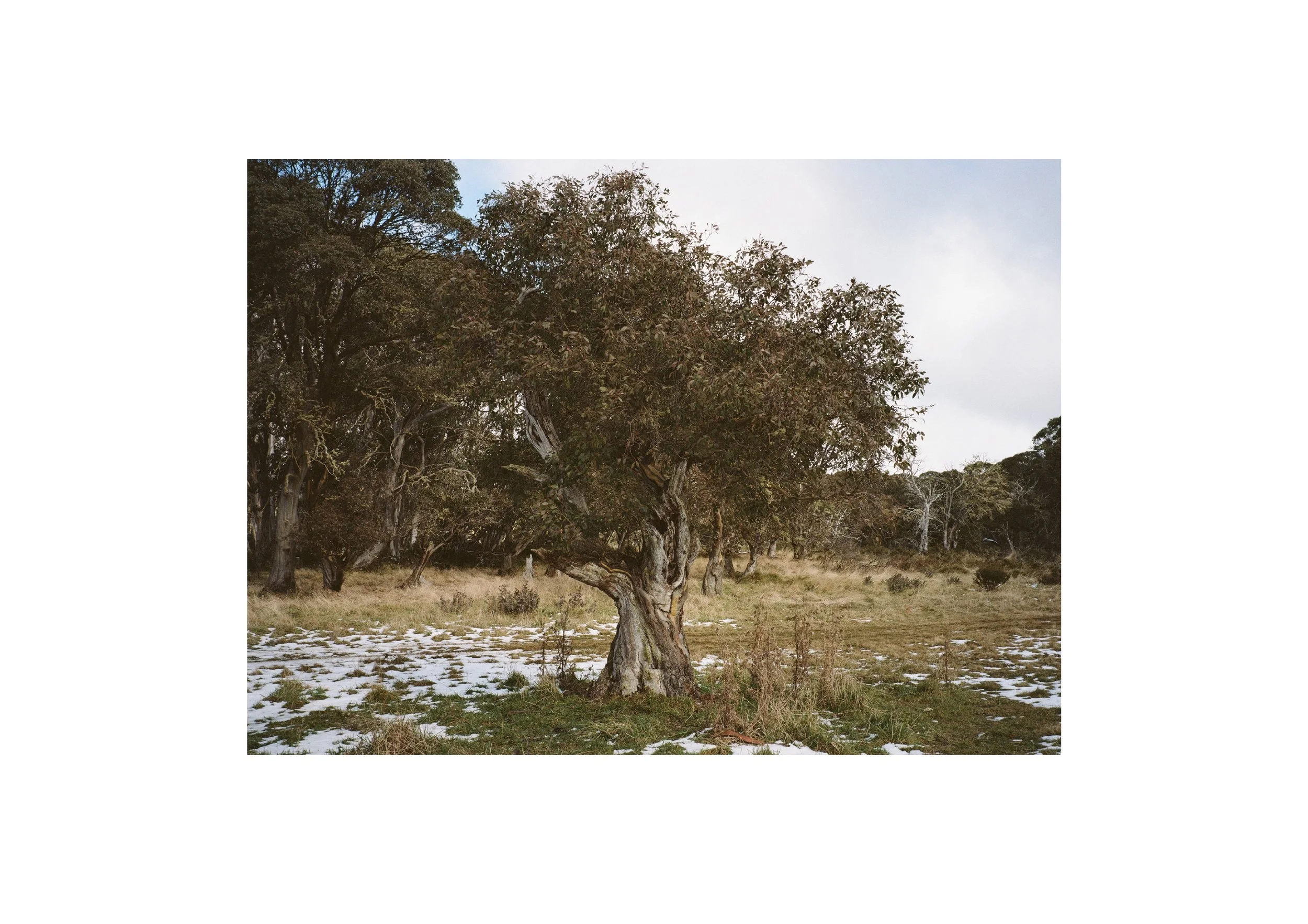Gippsland_May-August__2022_Part_1 31.jpg
