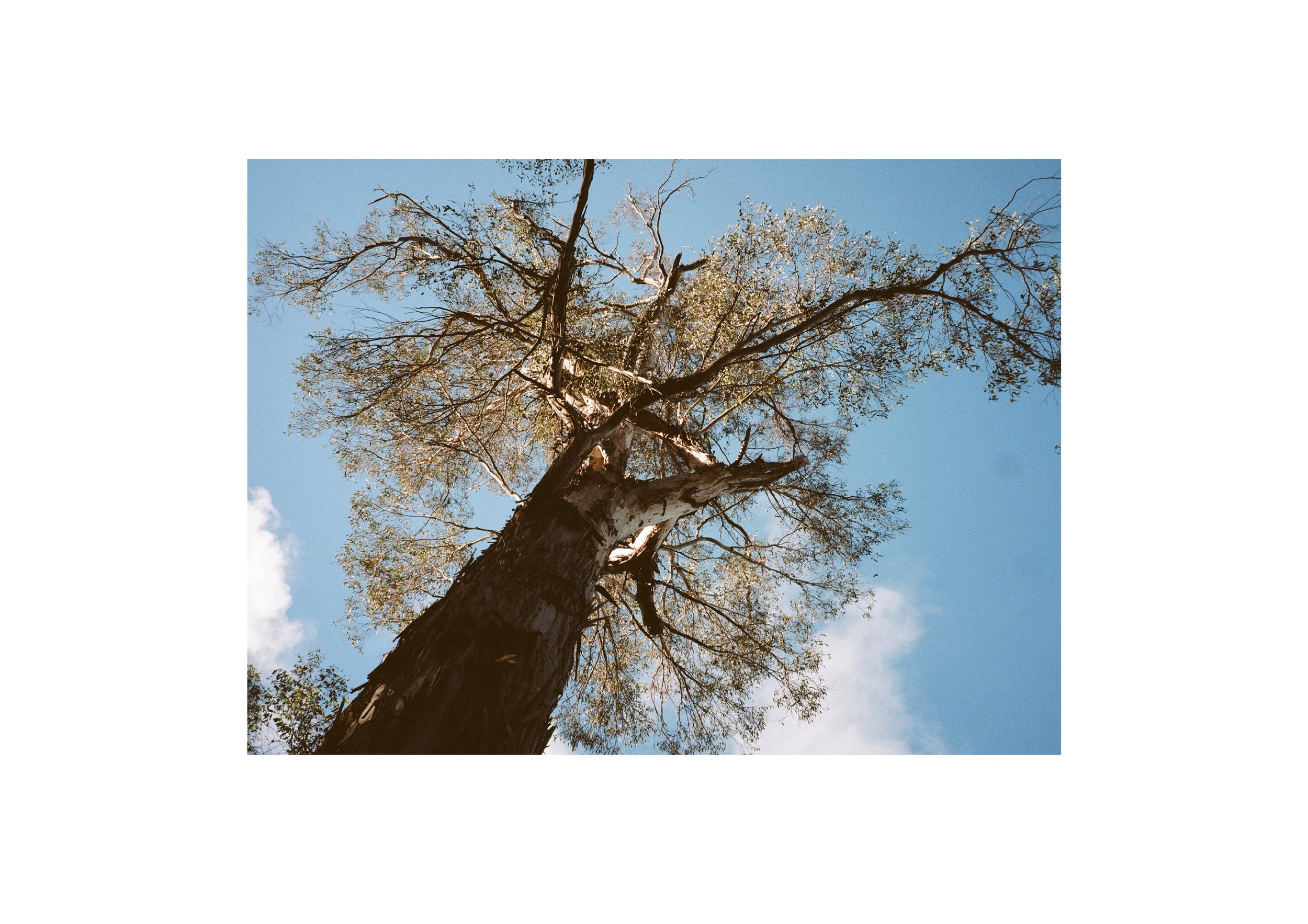 Gippsland_May-August__2022_Part_2 5.jpg