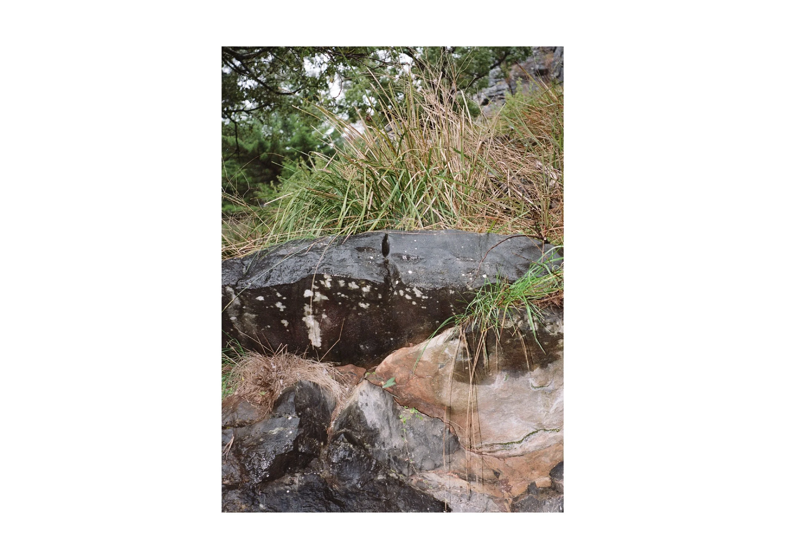 Gippsland_May-August__2022_Part_2 7.jpg