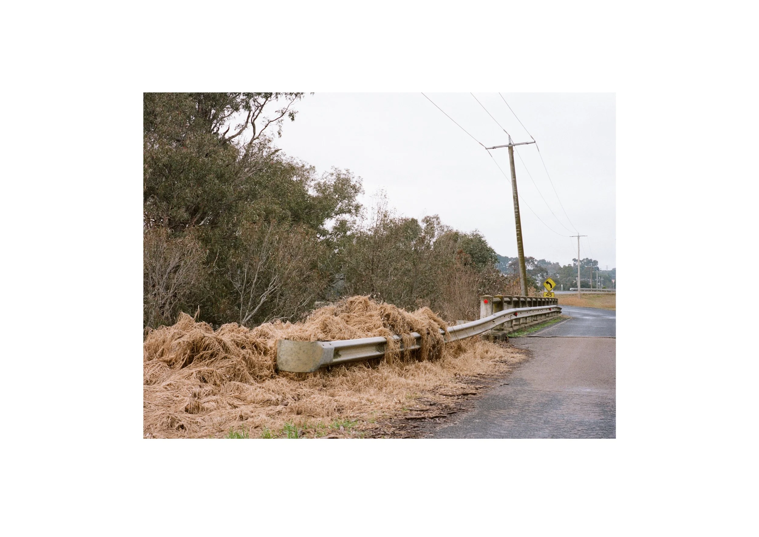 Gippsland_May-August__2022_Part_2 14.jpg