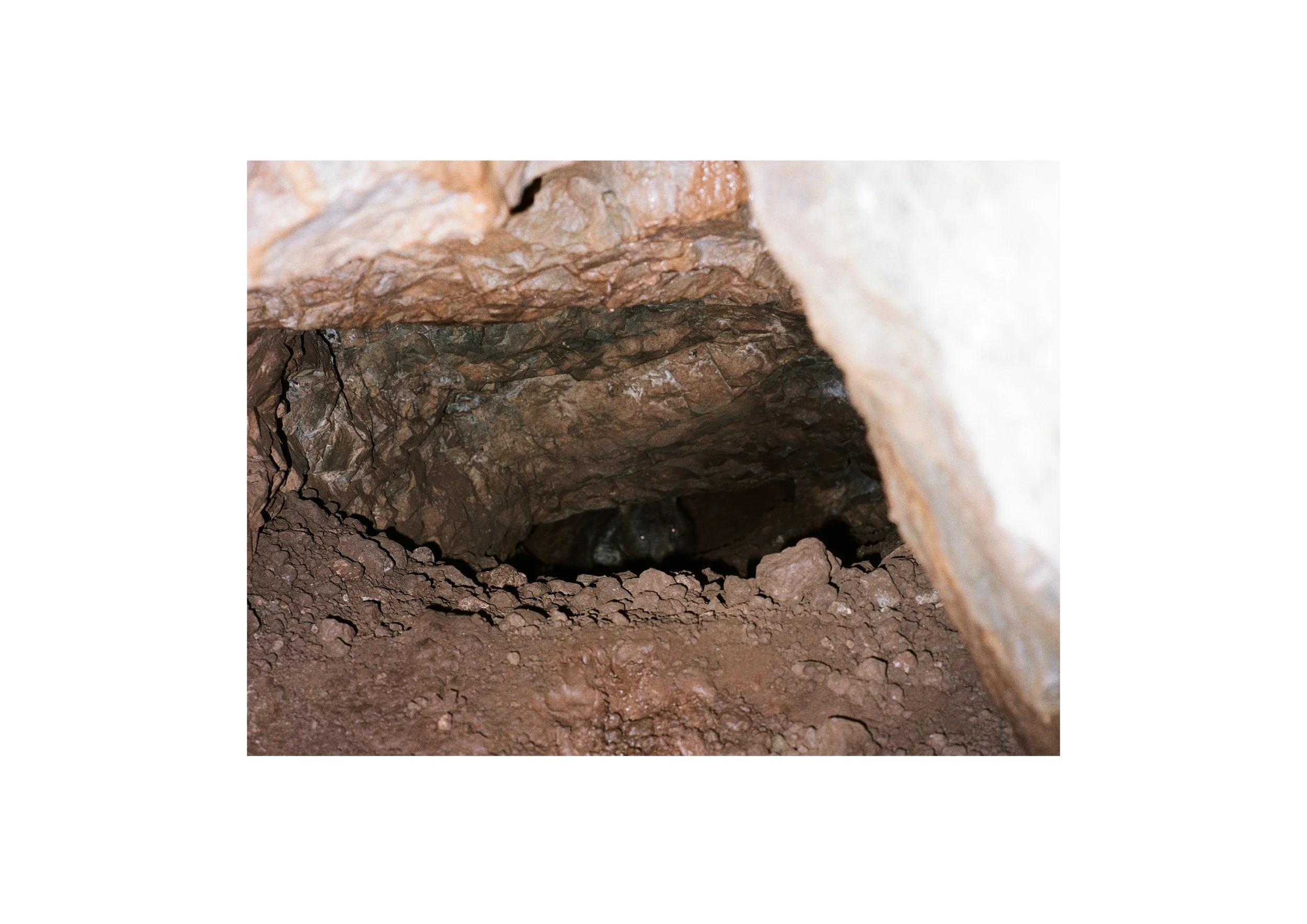 Gippsland_May-August__2022_Part_2 15.jpg