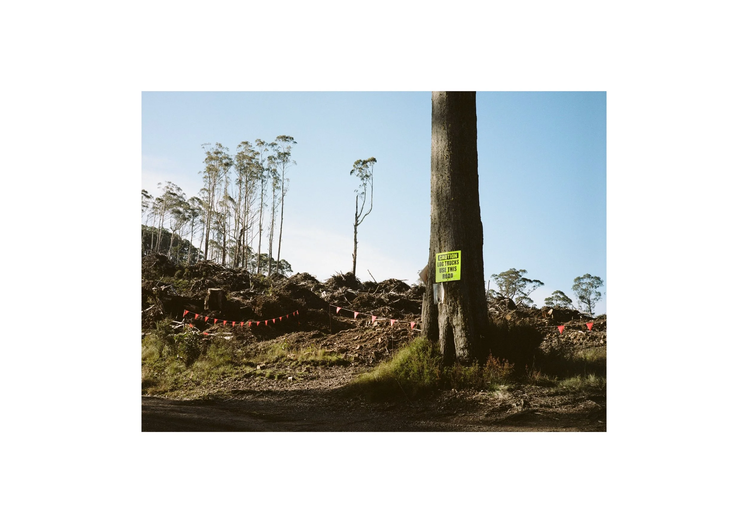 Gippsland_May-August__2022_Part_2 20.jpg