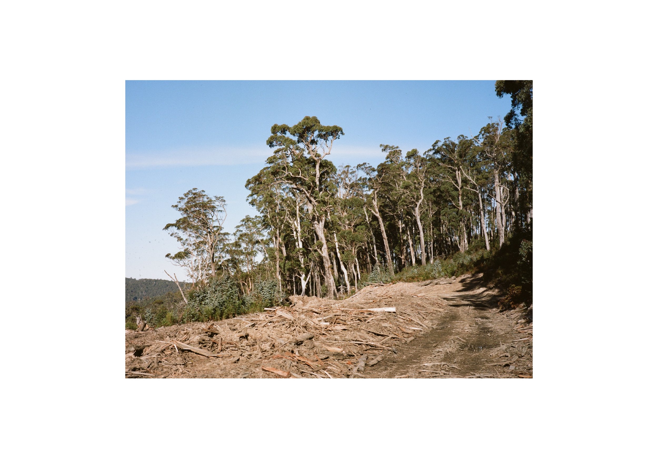 Gippsland_May-August__2022_Part_2 21.jpg