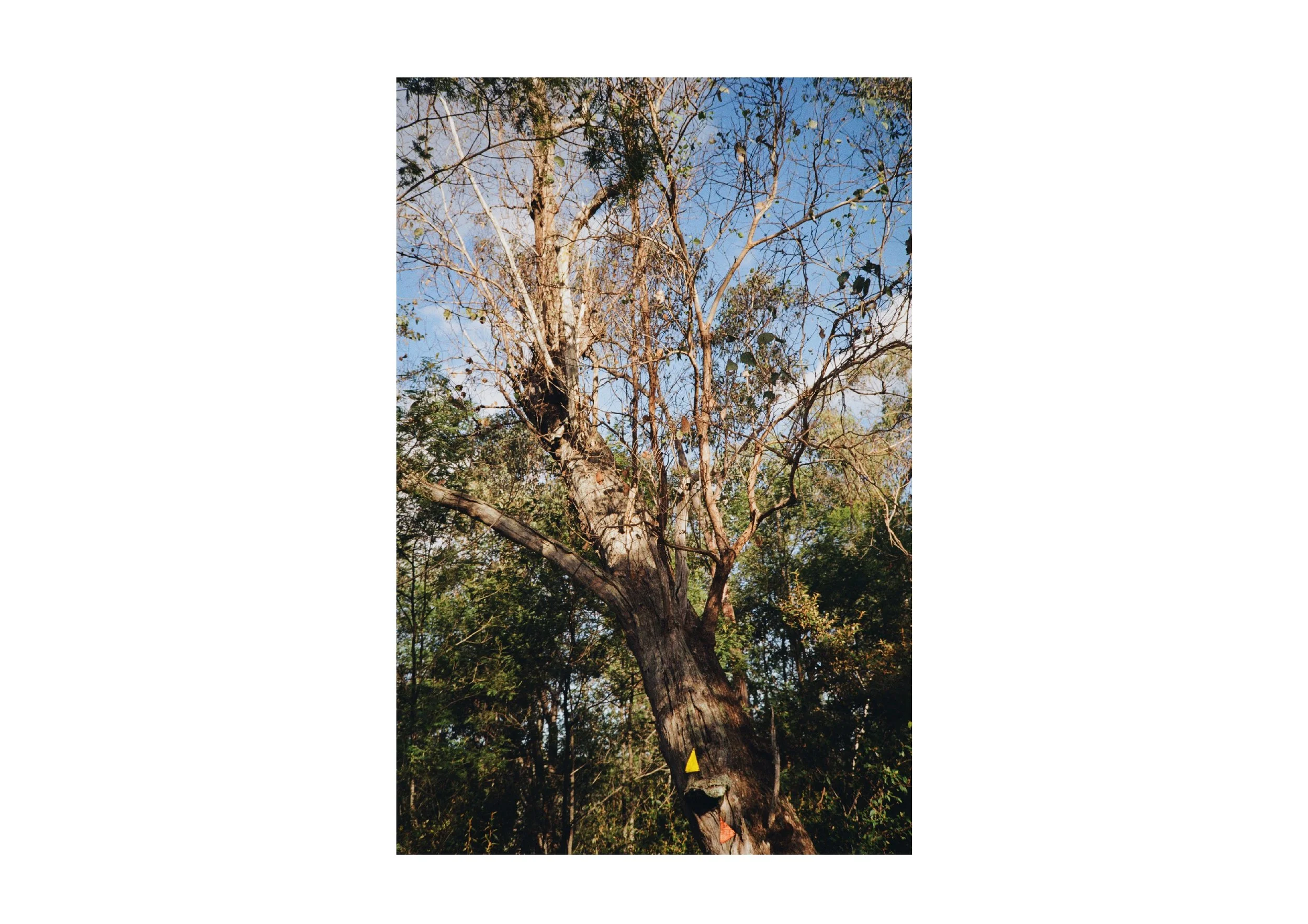 Gippsland_May-August__2022_Part_2 30.jpg