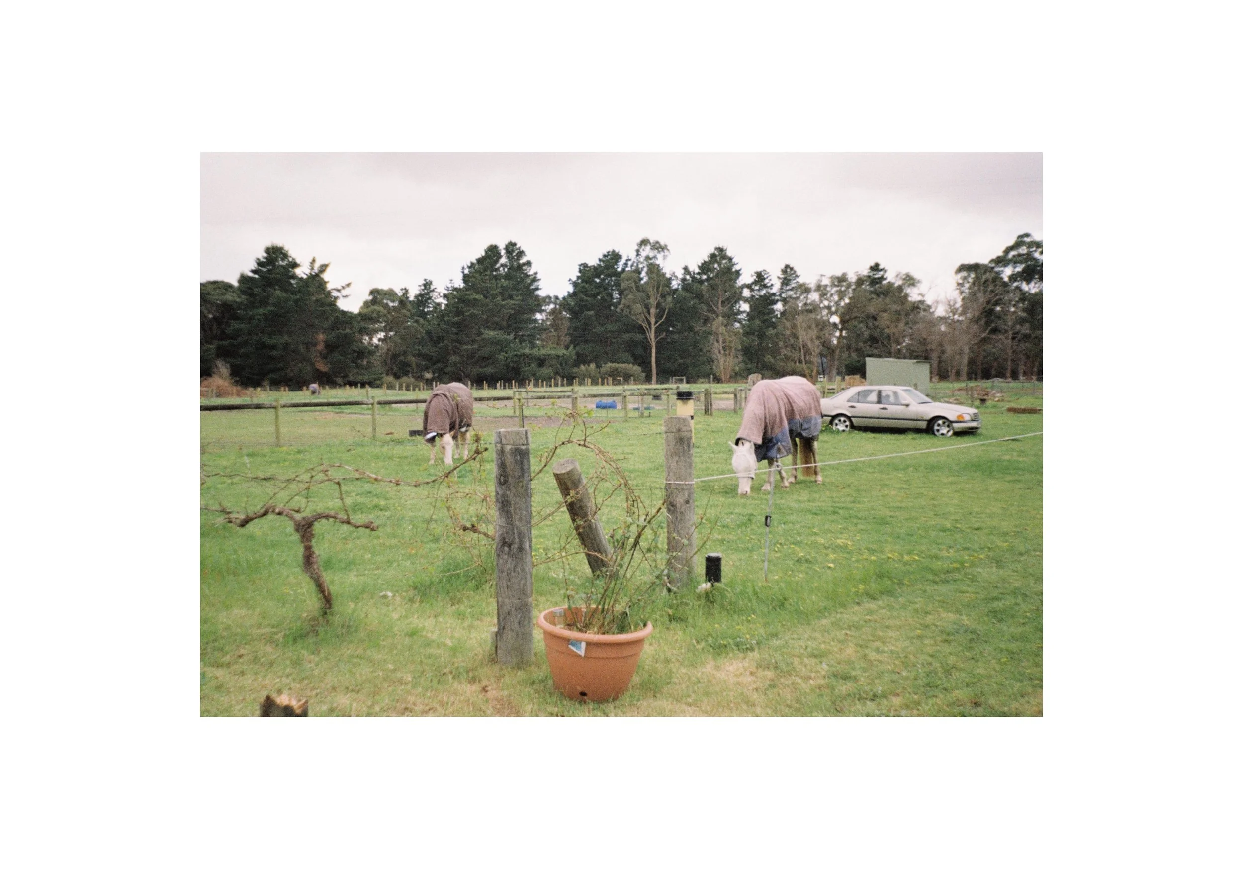 Gippsland_Sept-Dec_2022 3.jpg