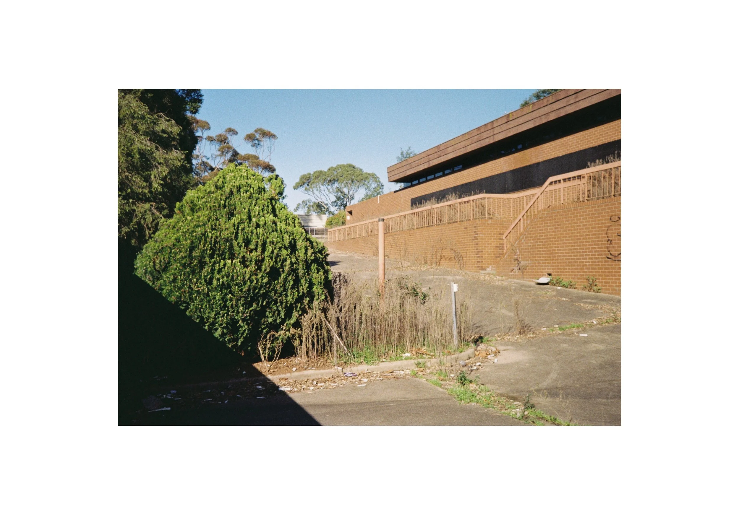 Gippsland_Sept-Dec_2022 4.jpg