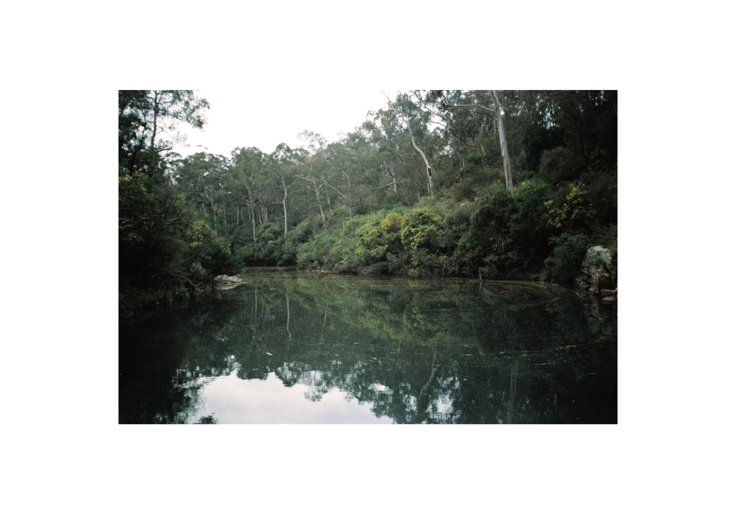 Gippsland_Sept-Dec_2022 11.jpg