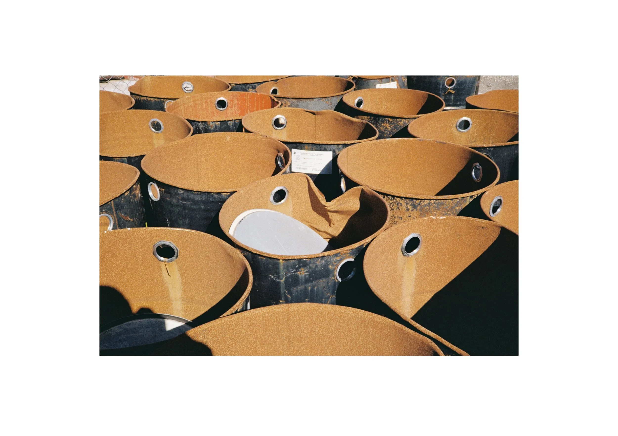 Gippsland_Sept-Dec_2022 15.jpg