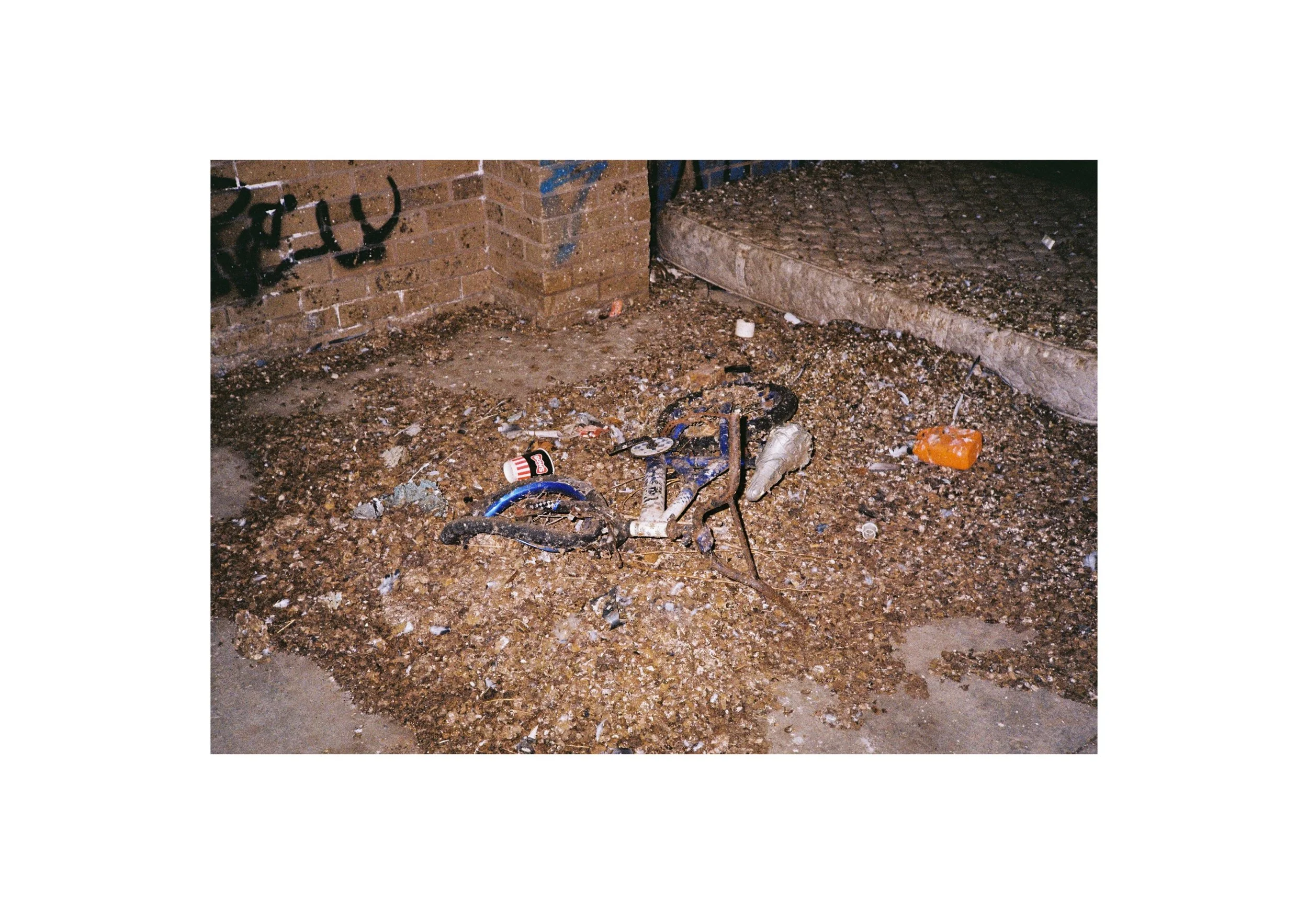 Gippsland_Sept-Dec_2022 14.jpg