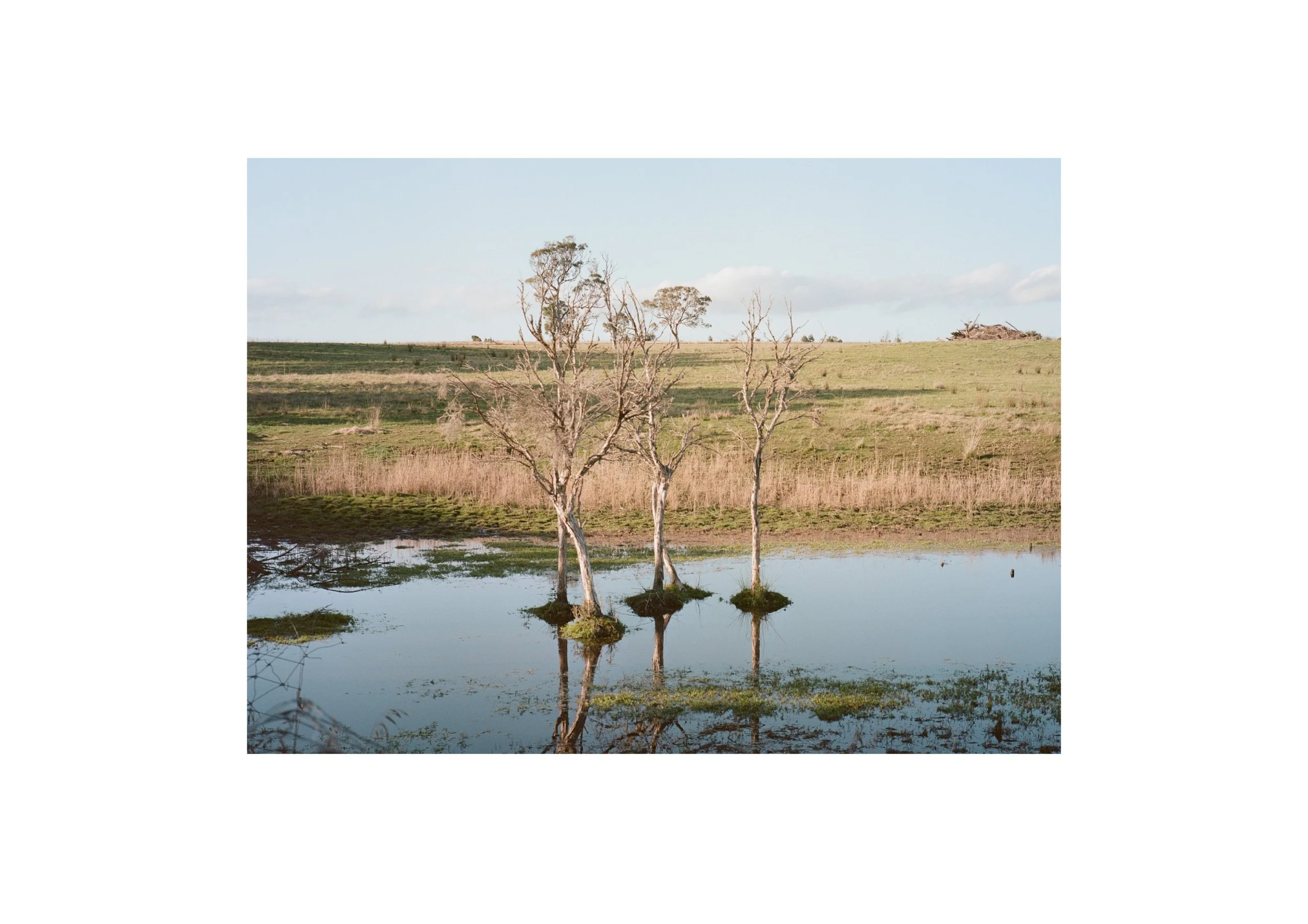 Gippsland_Sept-Dec_2022 18.jpg