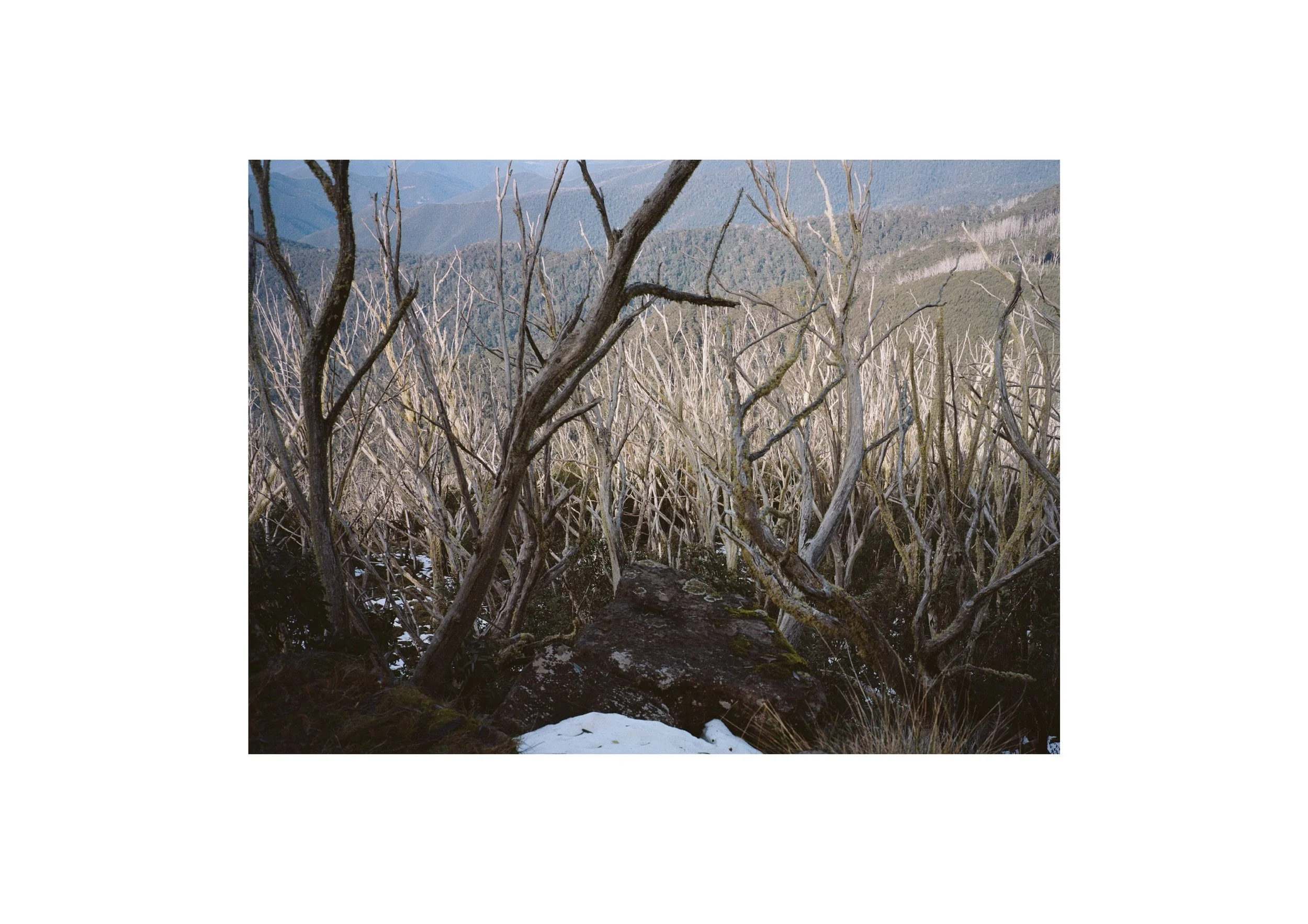 Gippsland_May-August__2022_Part_2 2.jpg