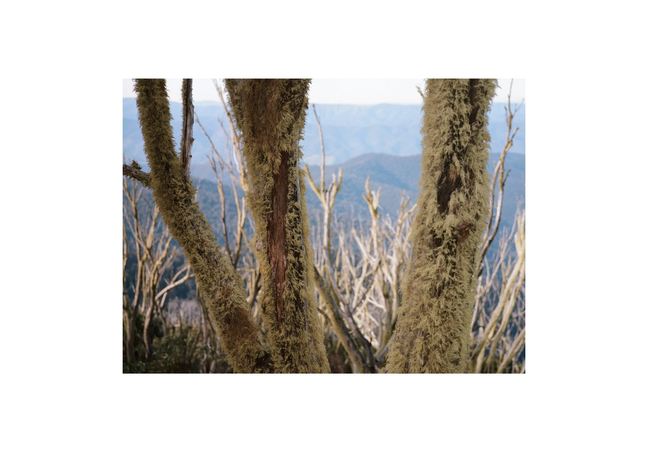 Gippsland_May-August__2022_Part_2 3.jpg