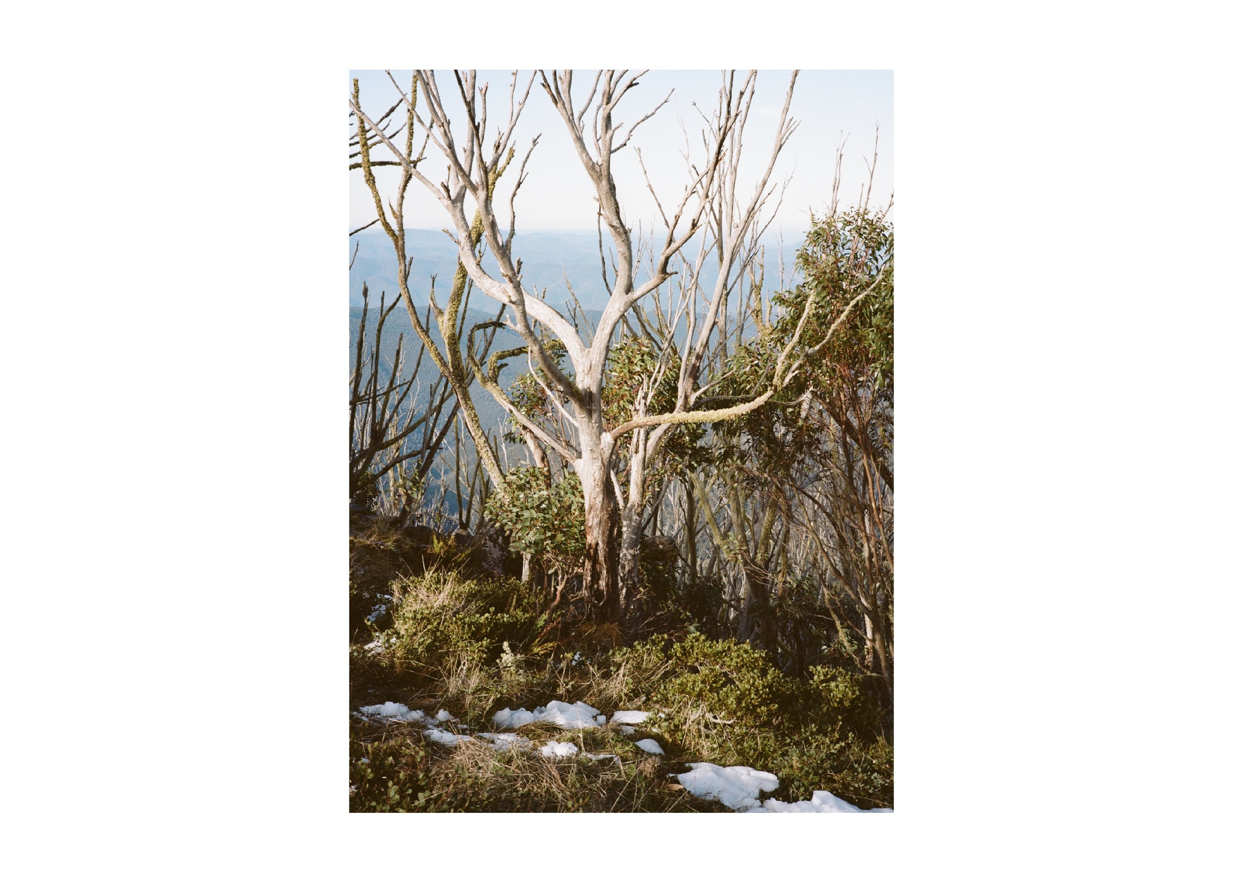 Gippsland_May-August__2022_Part_2 4.jpg