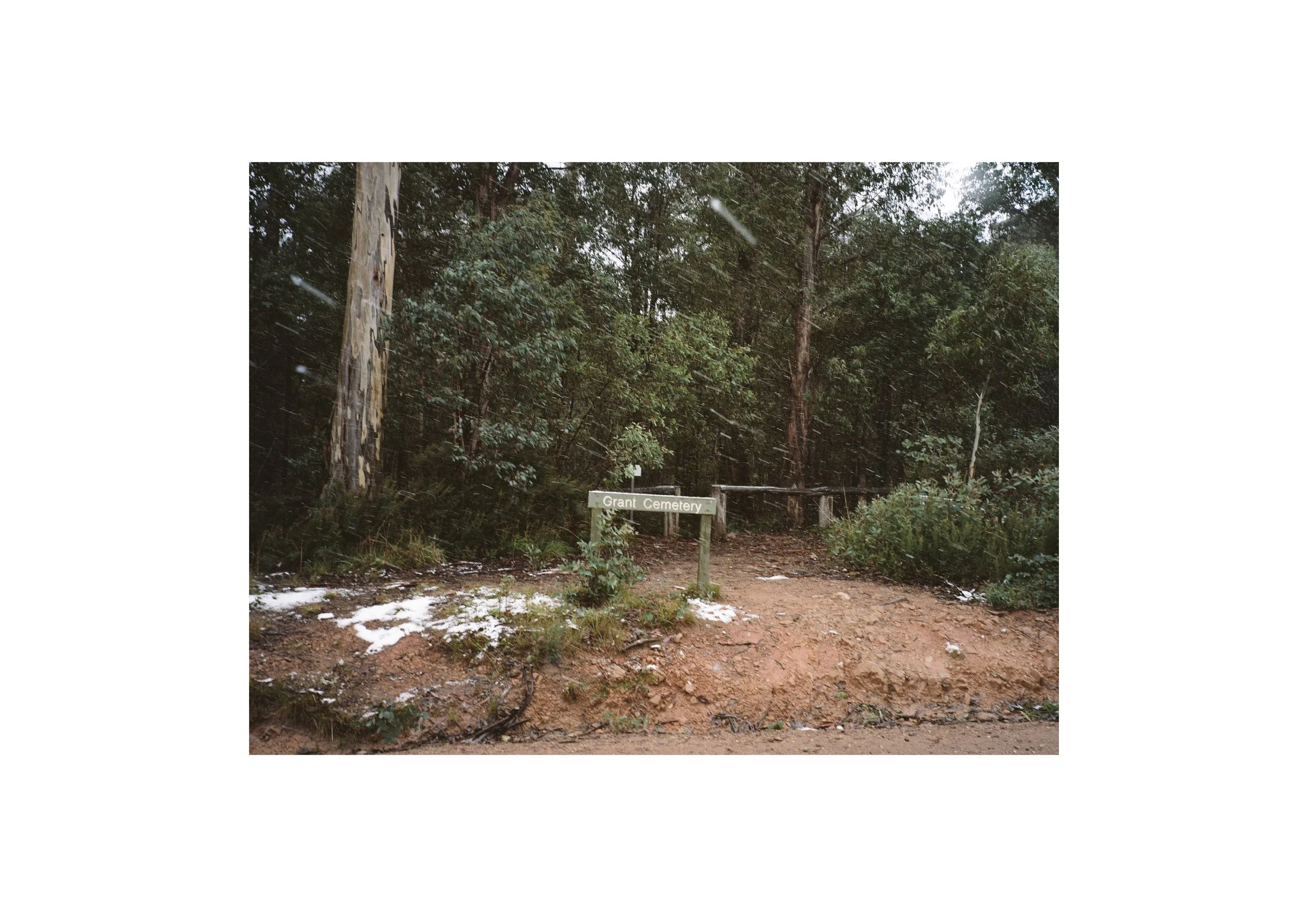 Gippsland_May-August__2022_Part_2 10.jpg