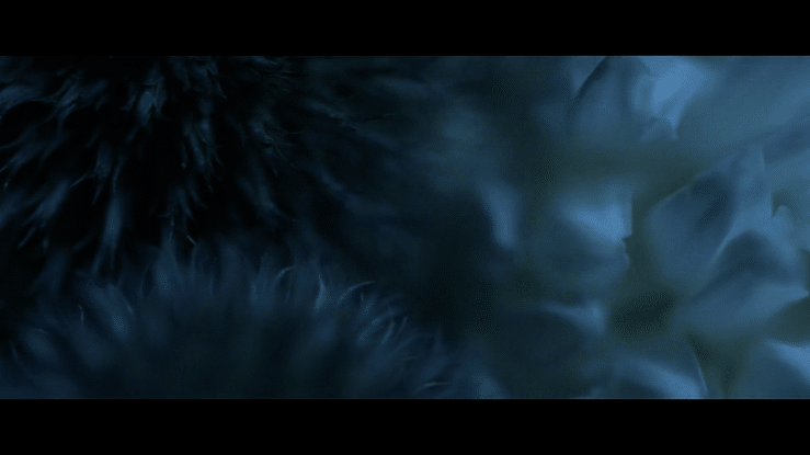 Almost Home-high.gif