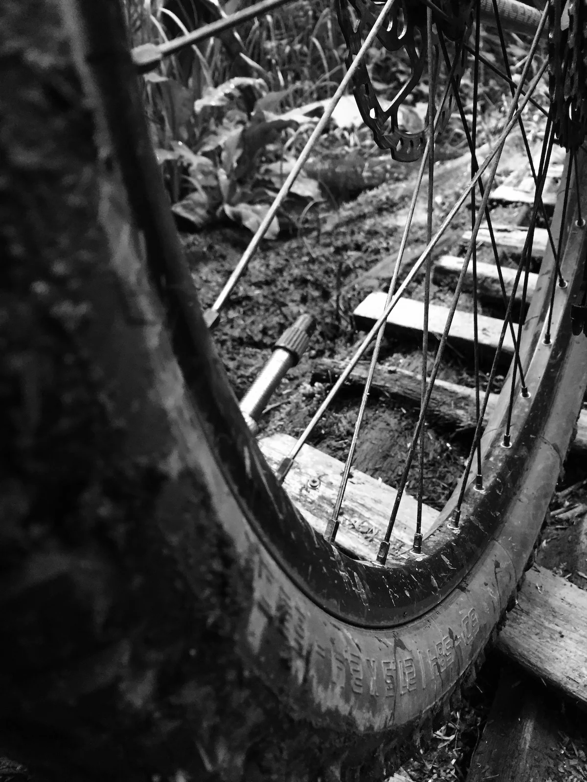 wheel.jpg