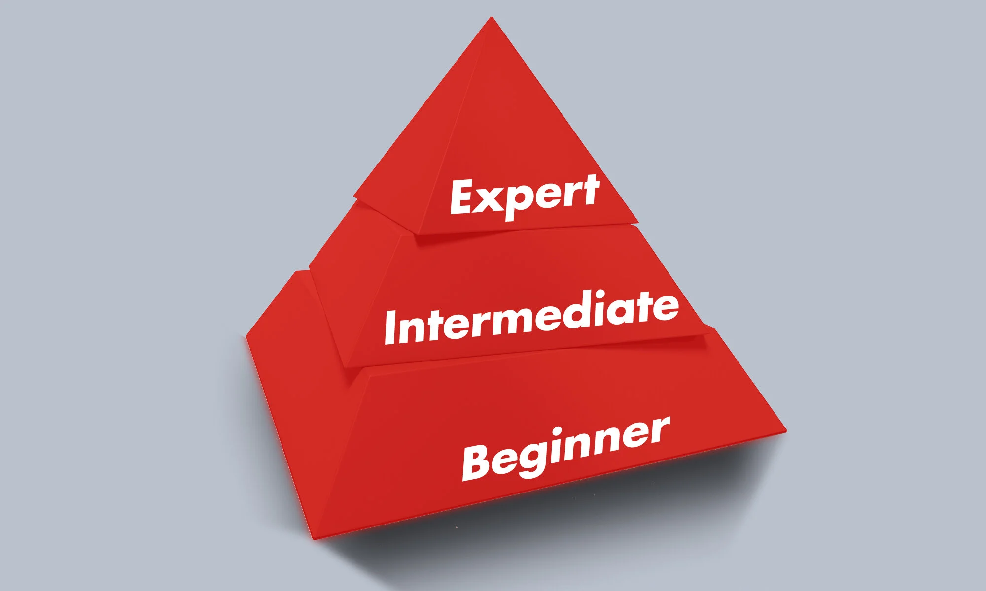 Workforce Alignment: How Do You Design A Curriculum Architecture For Three Employee Competency Levels?