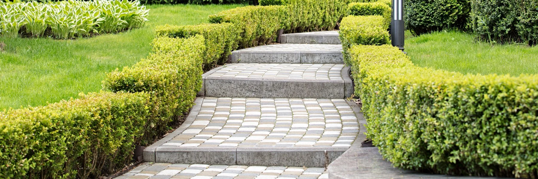 Six Steps To Develop Effective Learning Pathways