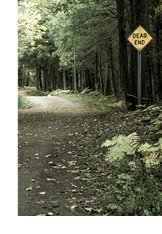 Roadway path through wood canopy with yellow Dead End sign on a post, on the left-hand side of the photograph.