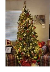 Photograph of a decorated Christmas tree