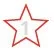 1 Star