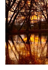 Photograph of autumn landscape with changing leaves and evening light shing over a lake.