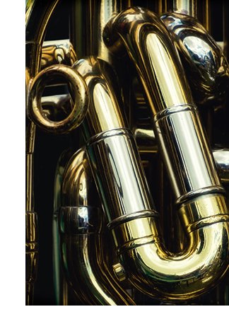 Photograph of tuba instrument valves and tubes