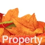 12/08/13: Property: Autumn Report (Westmount Clients Only)