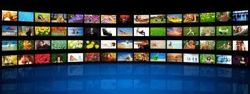 24/06/14: The Seven-Day News Diet