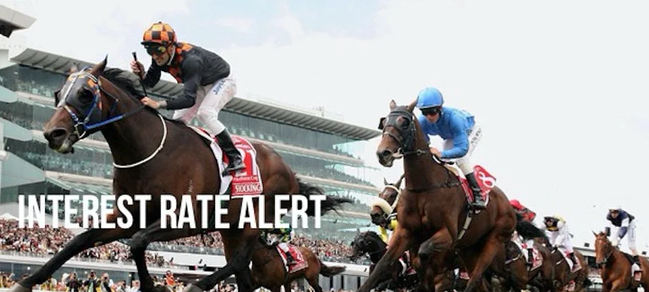 03/11/15: Rates steady