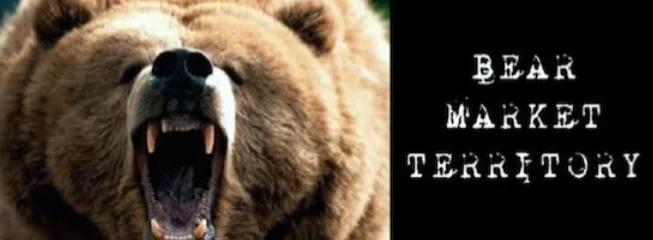 bear31.jpg