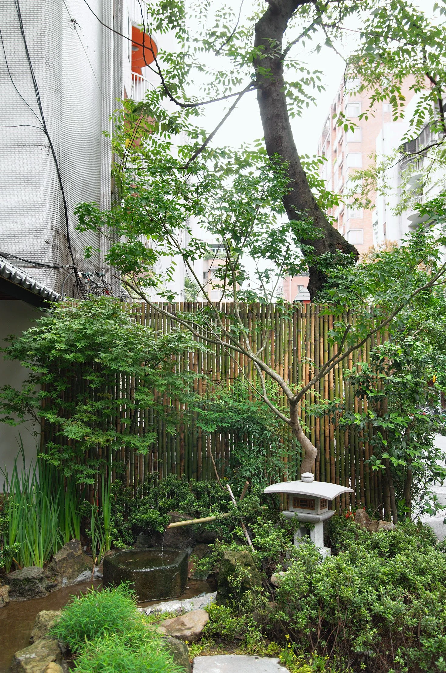 DSC_0616.jpg