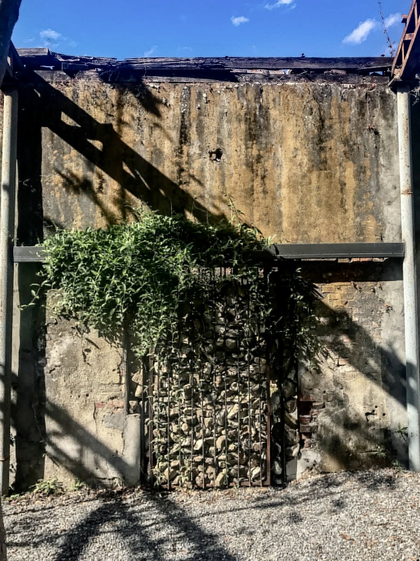 IMG_1398.jpeg
