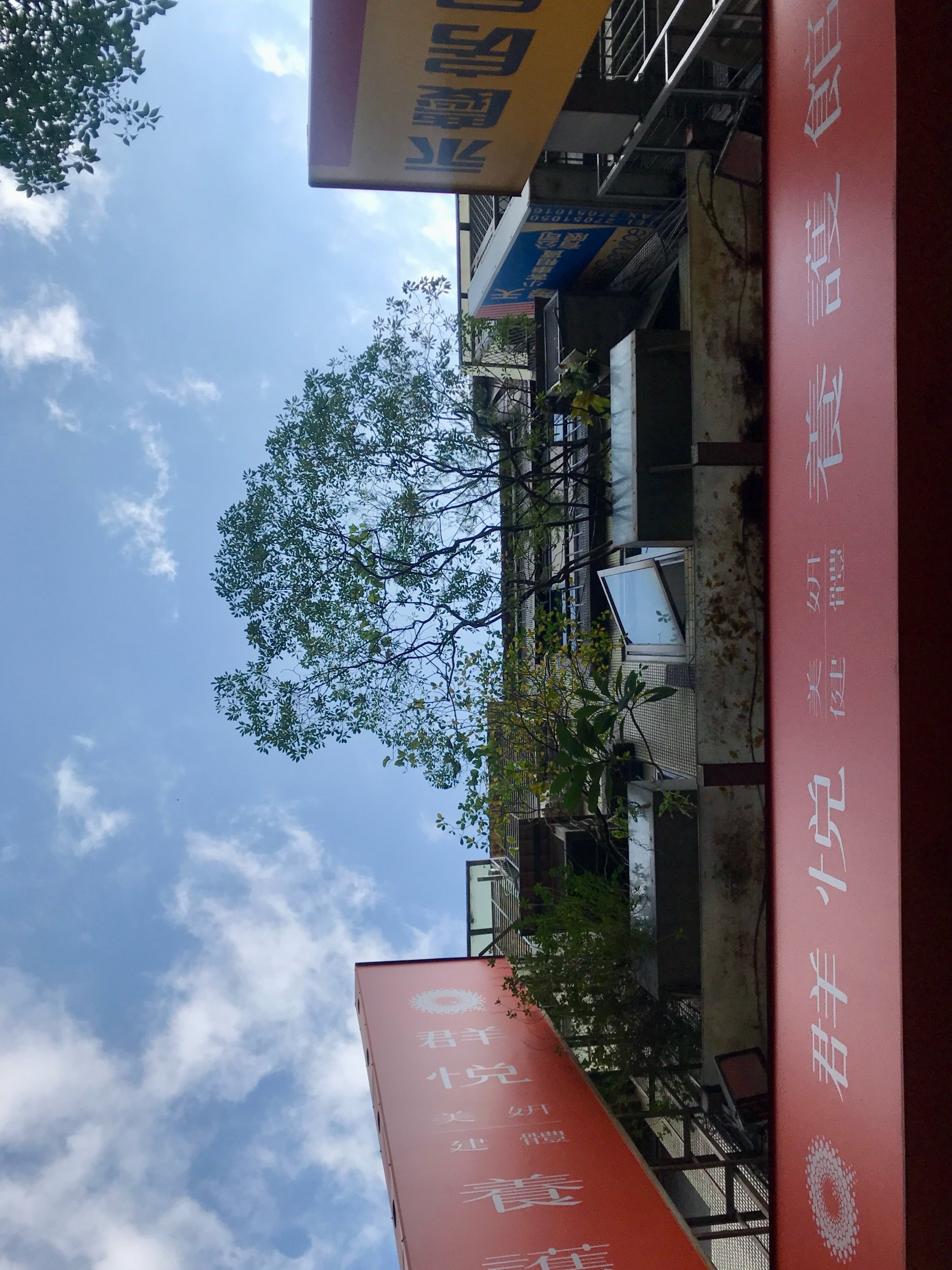 IMG_4054.jpeg