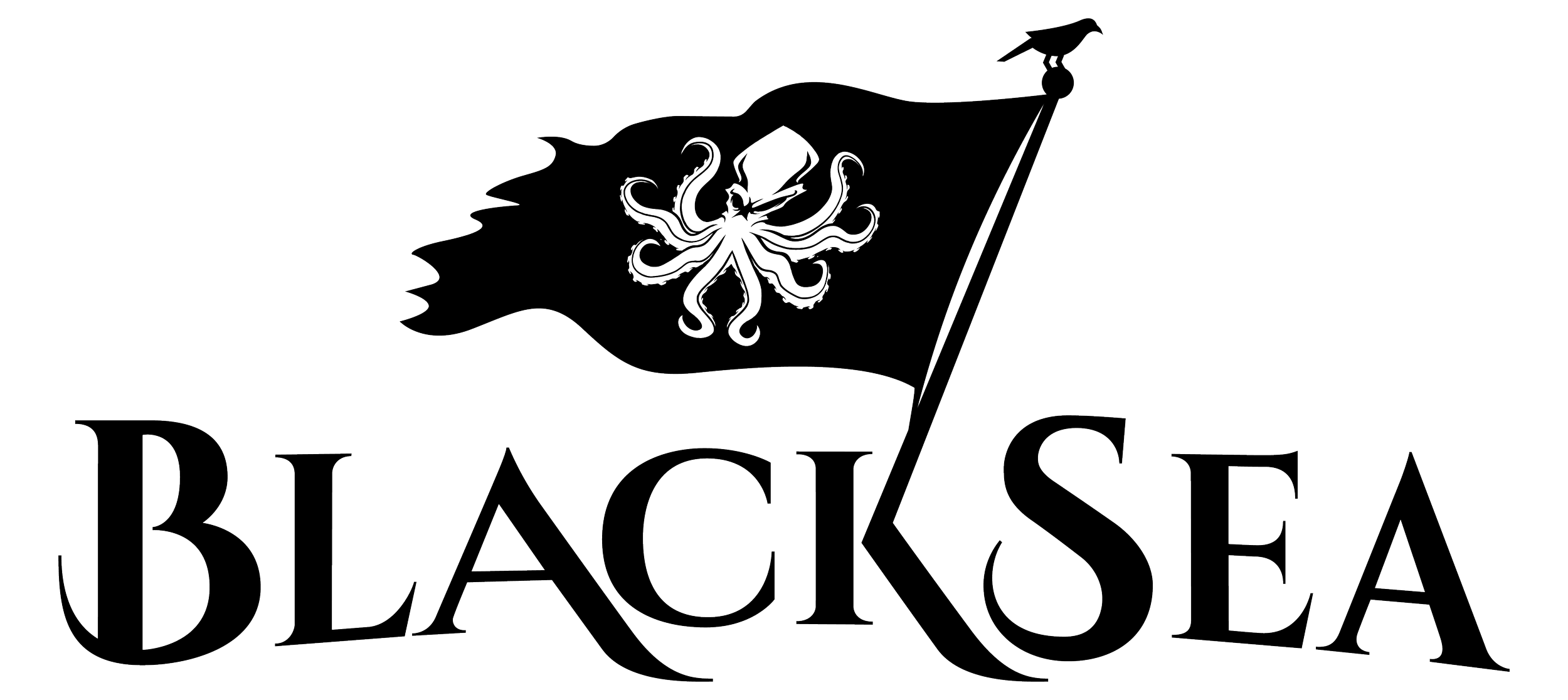 BlackSea Technologies