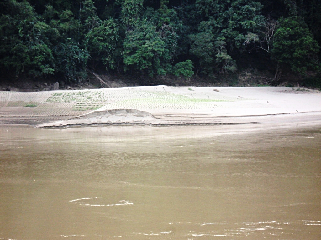 Villagers grow vegetables on alluvial land along the Salween River