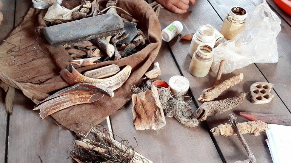  Shan traditional medicine products gathered from the forest (Wah, 2017) 