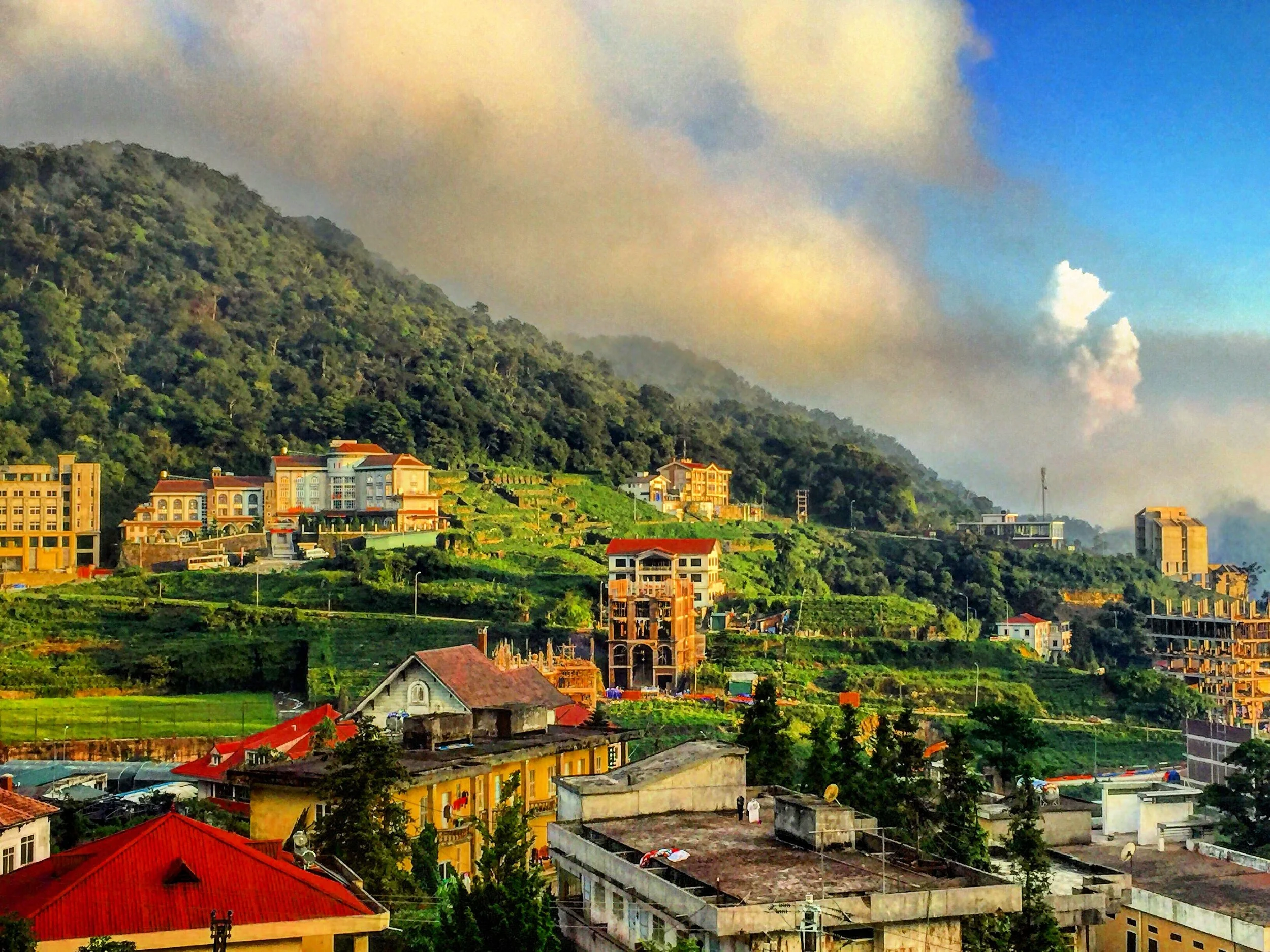 KNOTS Summer School: The Benefits of Using Transdisciplinary Research for Impacting Policy Change