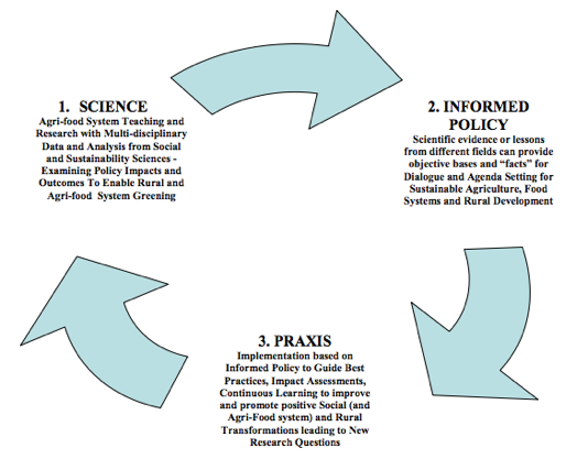 policy praxis cycle.png
