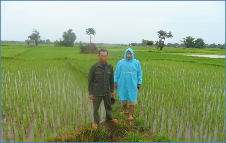  Ajarn Outhai visits an organic rice farm in Phonthan Village, Savannakhet province (Credit: NAFC) 