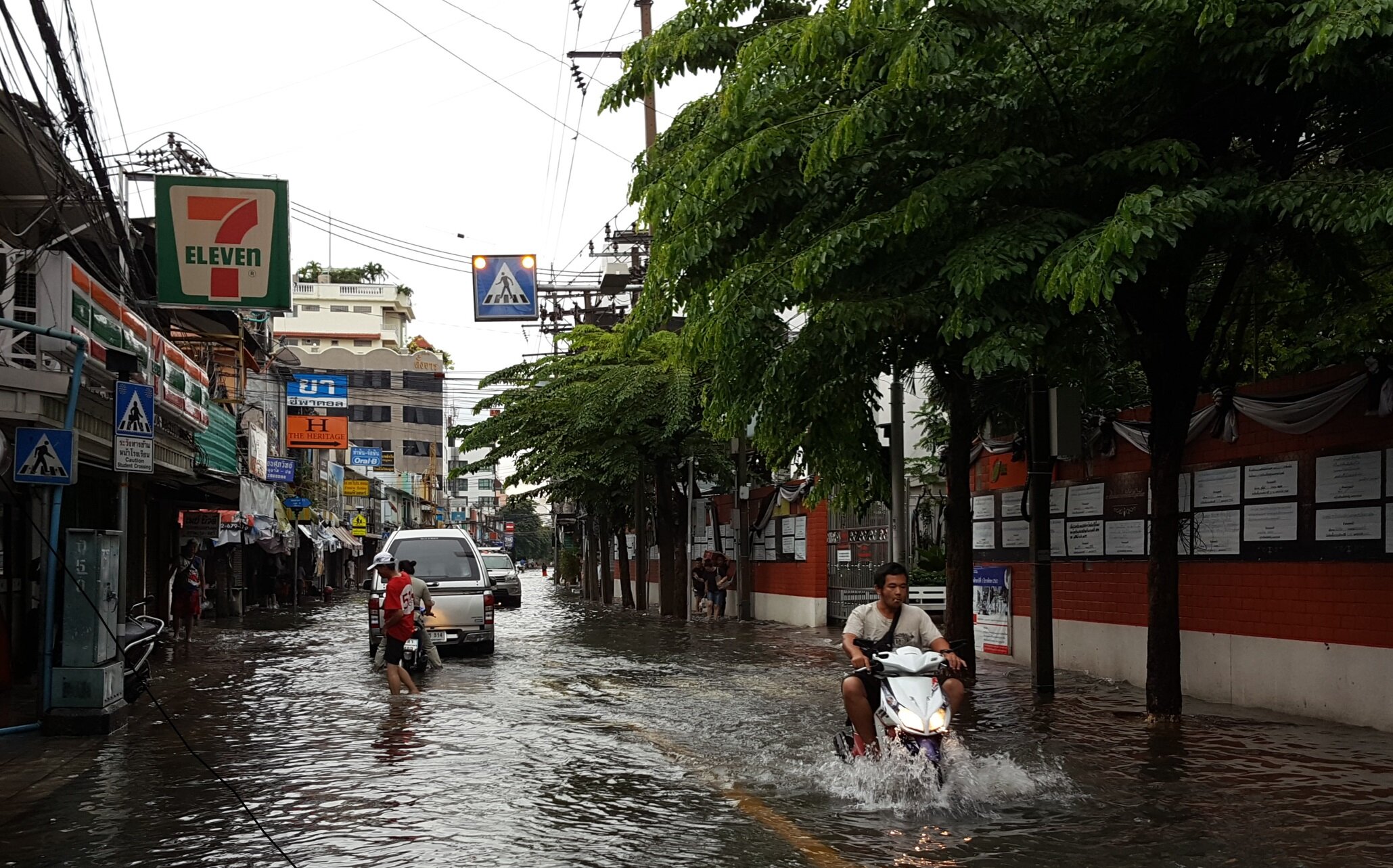   Blended Learning Course on Climate Change, Disaster, and Displacement  