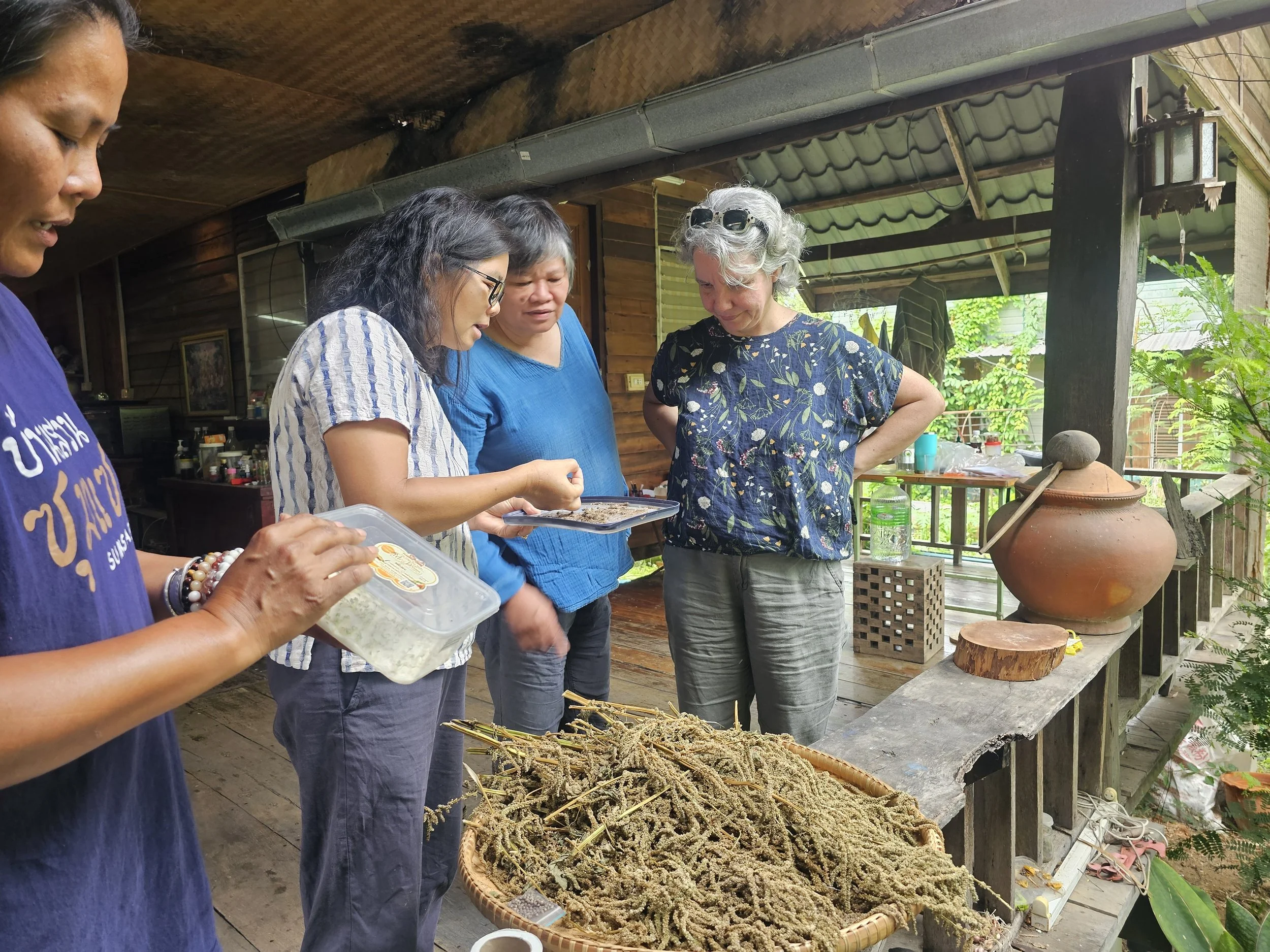 Seed practices at Mathana’s Garden, where she engages in careful preparation—especially for local varieties—to maintain seed quality. Chiang Mai Province. (Credit: Zhou Yuting; Host organization: Towards Organic Asia)
