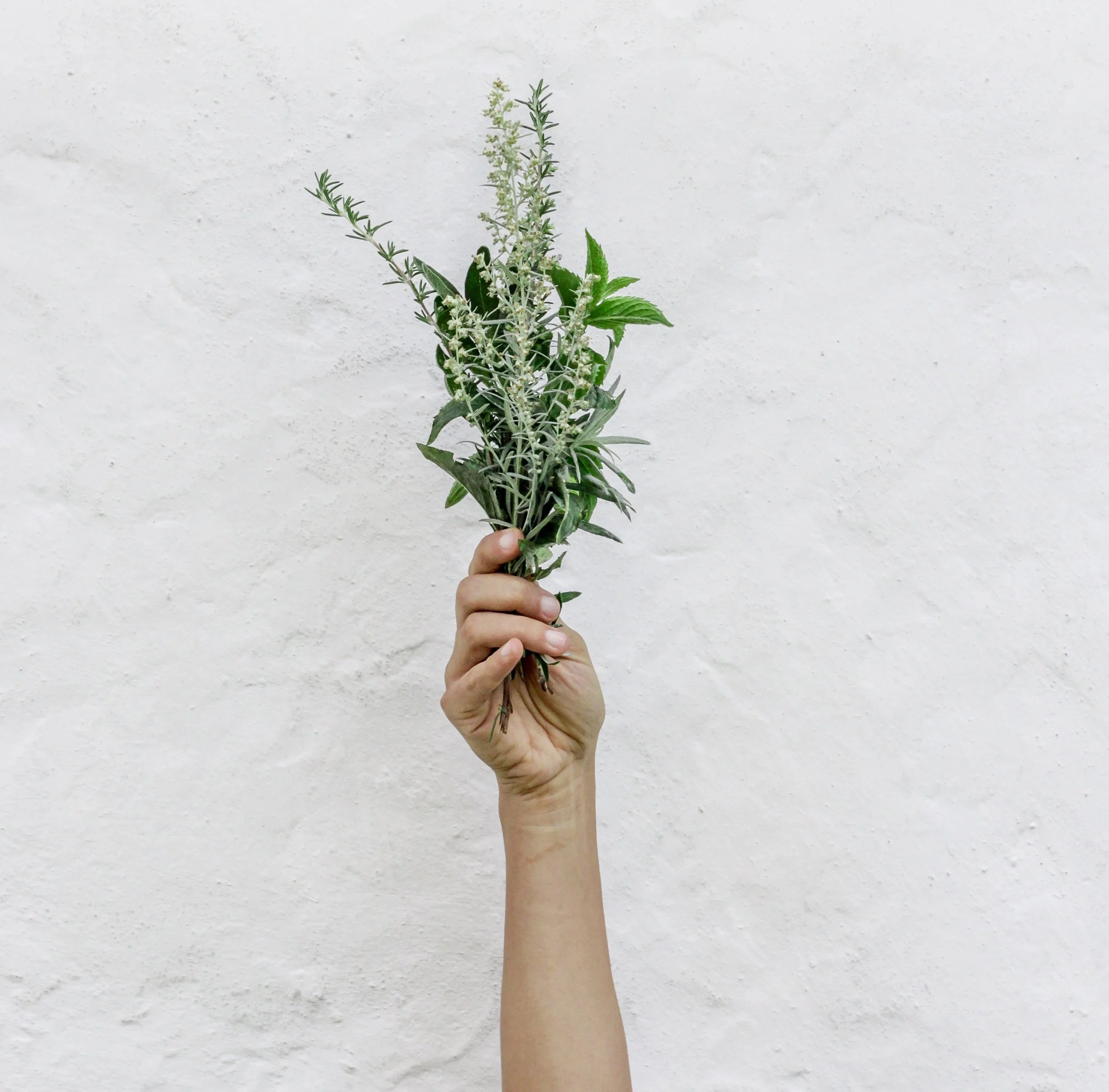 nordwood-themes-535273-unsplash.jpg