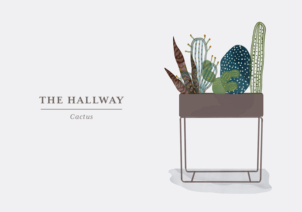 The cacti family is used to the desert, so if you have a dark hallway, this is a no go. But if you have indirect sunlight in your entrance from adjoining rooms, your cactus will do just fine. How much light, your cactus requires, depends on the species so make sure to look into that before choosing your new prickly friend. Although most cacti live in the desert, it is wrong to assume that they don’t require any water. Cacti and succulents can store up water in their thick leaves, but they still need to be watered every now and then, as underwatering will cause shrivelling. Cacti grow during summer, and you should water them once a week. In the winter, you can reduce watering as it’s their natural rest period. Make sure to place the cactus out of reach from the little children fingers, as they will poke, and the spikes can be difficult to remove.