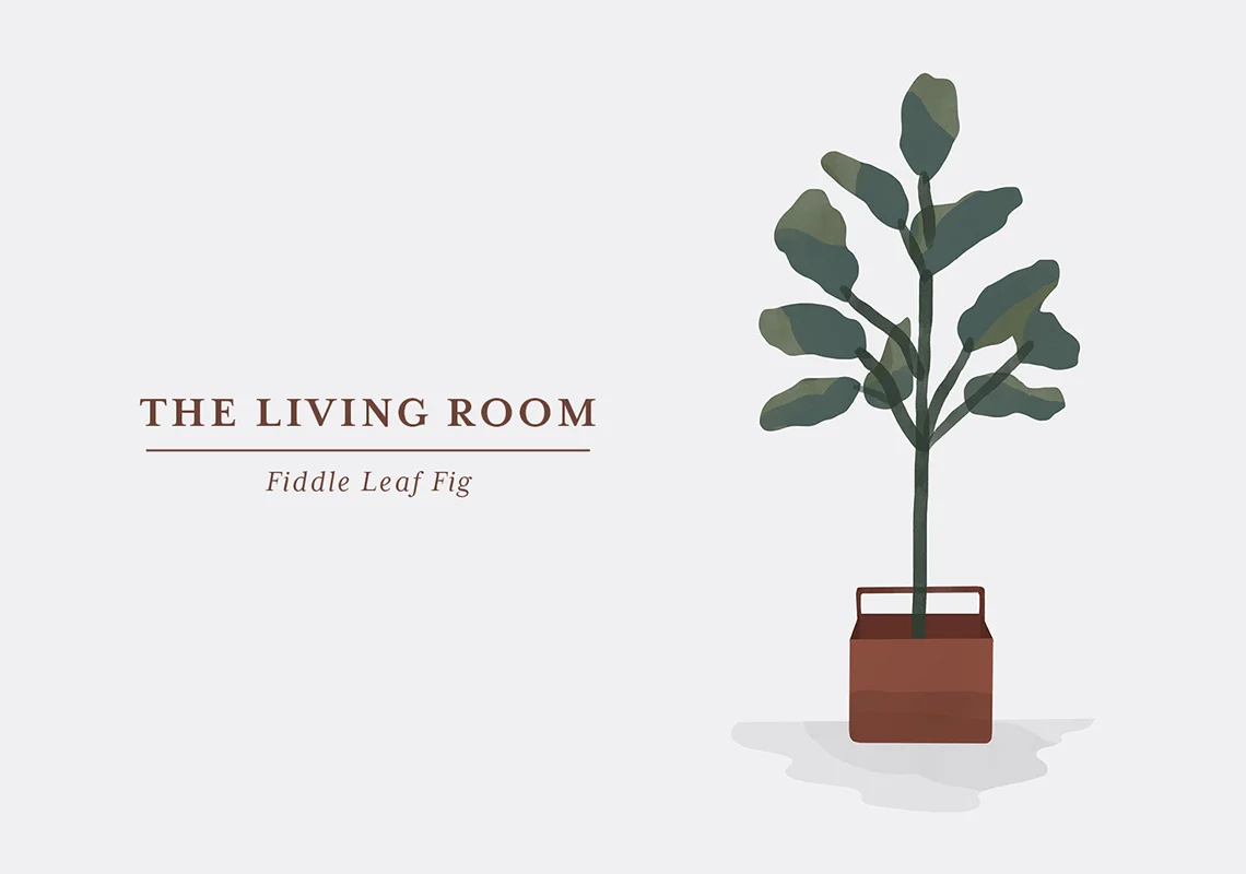 The Fiddle Leaf Fig has become quite the classic of houseplants in recent years. And we understand why. Although it will take up a lot of space if you let it, it will pay you back with its large lush leaves and an almost jungle-like vibe. This one loves sunlight, but if you have a corner of your living room that looks a little dull, you can place it there too if you make sure there is indirect sunlight. If you put the fig in a full-sun location, make sure to moist and dust off the leaves regularly. That will make the plant look its best. Turn the plant frequently to make it grow evenly, as the leaves will always reach for the light.