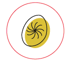 Screen Shot 2018-06-27 at 11.11.52 AM.png