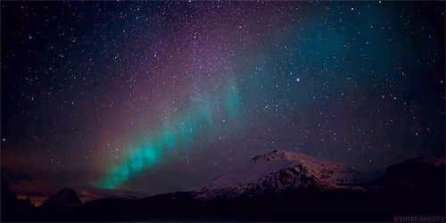 GIF Animated Small.gif
